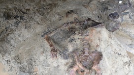 Археологи нашли ещё одну жертву Везувия в ходе новых раскопок в Геркулануме