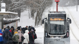 Московские трамваи стали на 90% отечественными