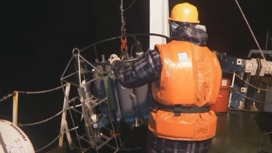 Океанологи исследовали воду Белого моря