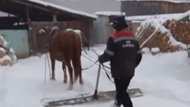 В Башкирии мужчина чистил снег с помощью лошади и саней