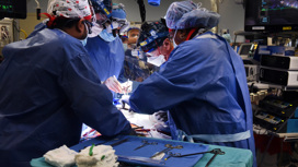 Первая в мире пересадка свиного сердца живому человеку проведена в США