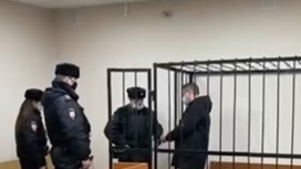 Арестован подозреваемый в ограблении вдовы Александра Градского