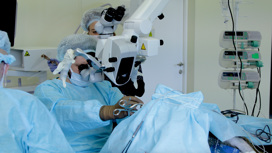 Первый российский имплантат для электронного зрения установлен обезьяне