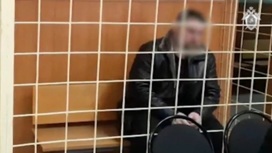 Похитивший и убивший свою жену житель Подмосковья признал вину