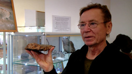 Осколок метеорита весом более 3 кг подарили уральскому музею