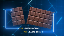 Доктор Мясников рассказал, чем полезен и вреден шоколад