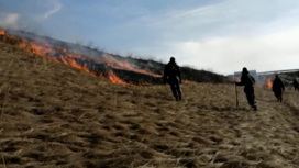 В Алтайском крае ухудшилась ситуация с лесными пожарами