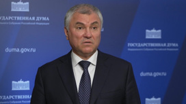 Володин: Украине дают статус кандидата в Евросоюз ради продолжения борьбы с РФ