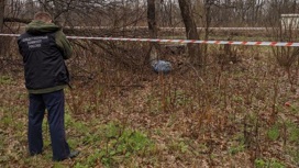 В Узловском районе мужчина зарубил знакомого топором и спрятал расчлененное тело в лесополосе