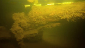 Затонувшее судно, обнаруженное в Выборгском заливе, может оказаться галерой времен Петра Первого