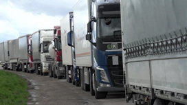 Несколько суток на вьезд: литовская таможня затягивает оформление грузов