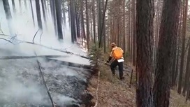 Борьба с лесными пожарами продолжается в 16 регионах