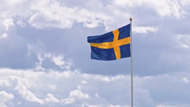 В Швеции устроили демонстрацию за свободу от НАТО