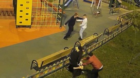 Смертельная драка на детской площадке в Подмосковье попала на видео