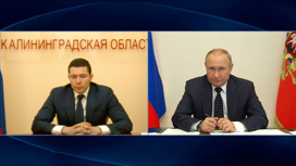 Алиханов и Куйвашев рассказали Путину о перспективах регионов
