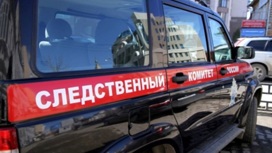 Суд в Москве приговорил двоих блогеров к трем годам колонии за нападение на женщину-инвалида