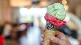 Жареное и крио: фестиваль мороженого пройдет в Челябинске