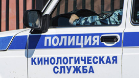 В Петропавловске-Камчатском эвакуировали все школы