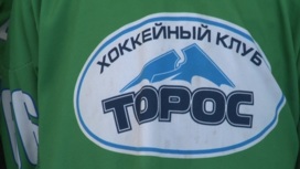 Факт надругательства над юным башкирским хоккеистом проверит прокуратура