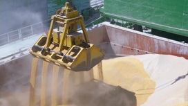 Пушилин: порт Мариуполя начали использовать для поставок зерна
