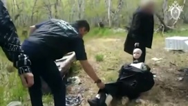 Боялась, что проснется: на Камчатке теща расправилась с зятем