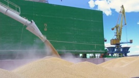 Сергей Лавров о зерновой сделке: пакет выполняется наполовину