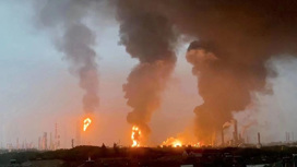 Очевидцы делятся кадрами масштабного пожара на шанхайском заводе
