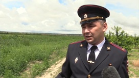 Закон и порядок возвращаются на освобожденные территории Украины