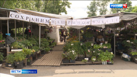 Мэрия Хабаровска: рынок на Химфармзаводе мешает работе автобусов и строительству коллектора