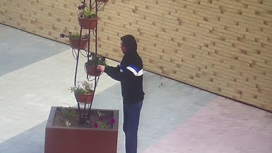 Садовод-любитель: в Тынде прохожий украл горшок с цветком с городской клумбы