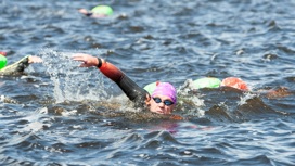 В Ивановской области пройдут соревнования по плаванию на открытой воде "Swimcup-Волга"