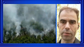В Якутии за сутки ликвидирован 31 лесной пожар