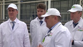 Уральские сельхозпроизводители готовы заменить импортные продукты