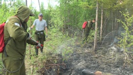 Авиалесоохрана: за сутки в России потушено более 60 лесных пожаров