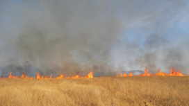 Украина поджигает поля на границе с Херсонщиной