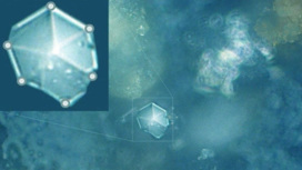 Снимок одного из странных кристаллов, сделанный с помощью оптического микроскопа.