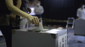 В Японии правящая партия одержала победу на выборах в верхнюю палату парламента