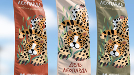 День переднеазиатского леопарда отпразднуют в Сочи