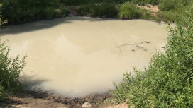 Стали известны результаты проб воды из реки Рыкуши в Тутаеве