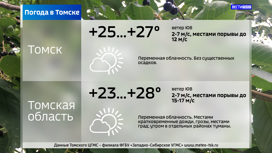 Переменная облачность и +28°С: погода в Томской области на четверг