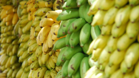 Зелёные бананы, как и некоторые другие продукты, содержат вещество, эффективно предотвращающее несколько типов рака.