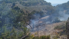 В Анапе потушили лесной пожар