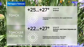До 27 градусов тепла ожидается в Томске в пятницу