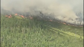 Регионы России продолжают борьбу с лесными пожарами