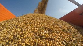 В регионы России через Приамурье перевезли более четверти миллиона тонн зерна и круп