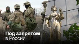 Организация украинских террористов запрещена в России