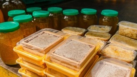 Пчеловодство на Ставрополье: не только мёд, но и пчелосемьи