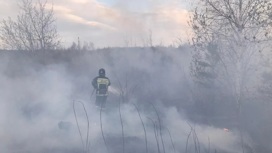 Крупный пожар остановили в километре от села в Челябинской области