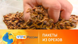 Российские ученые разработали быстроразлагаемый полимер с кедровой скорлупой