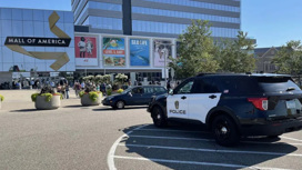 Очевидцы сняли стрельбу в торговом центре Америки и разбегающихся посетителей
